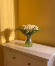 心理健康與身體健康的秘密聯系，你知道嗎？