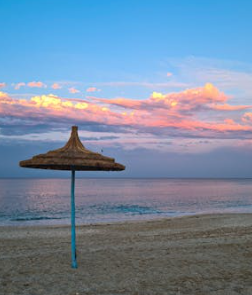 超越恐懼：將心理障礙轉化為成長動力