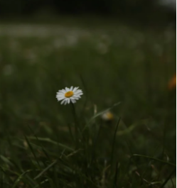 情緒瞬間爆發:突然涌現的緣由