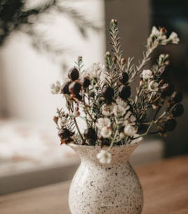 長時間居家感到壓抑，如何應對?