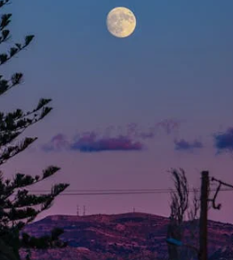 每天進步一點點：如何制定有效的個人成長計劃