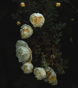 感情何時該止損，關鍵節點需洞悉