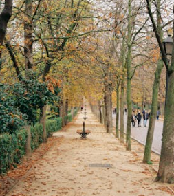 如何在追求成功的同時保持內心平靜