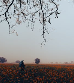 當下原生家庭問題為何如此突出?