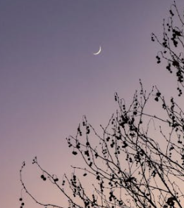 情感破裂:一個逐漸累積的過程