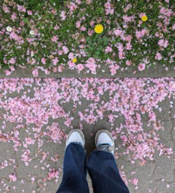 春節戒斷反應，開工不當可能得“退潮憂郁癥”？