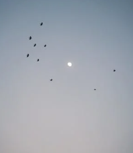 重新定義孤獨：從負面情緒到自我發現