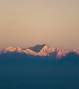 如何在職場中充分發揮外向型（E型）人格的優勢？