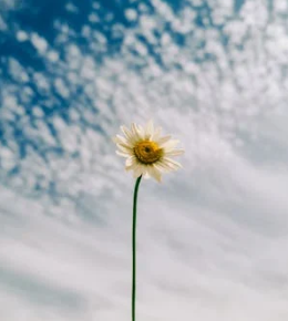 不良原生家庭環(huán)境對(duì)孩子人格發(fā)展的負(fù)面影響