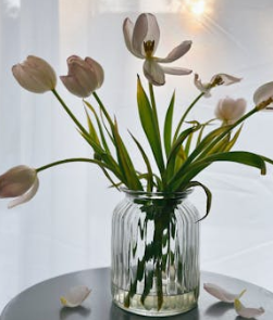 家庭教育對孩子的重要性不容忽視