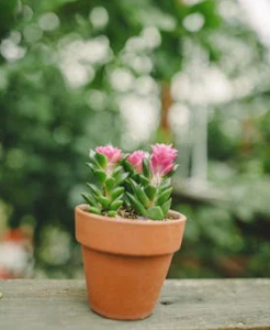 來了!心理科學傳播，開啟情緒管理中自我接納與調節