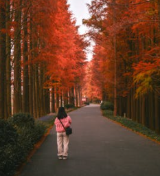 從沉默到表達：如何有效傳遞情感