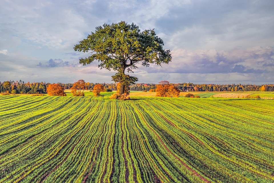 “心理健康管理”：呵護心靈的精神滋養(yǎng)課