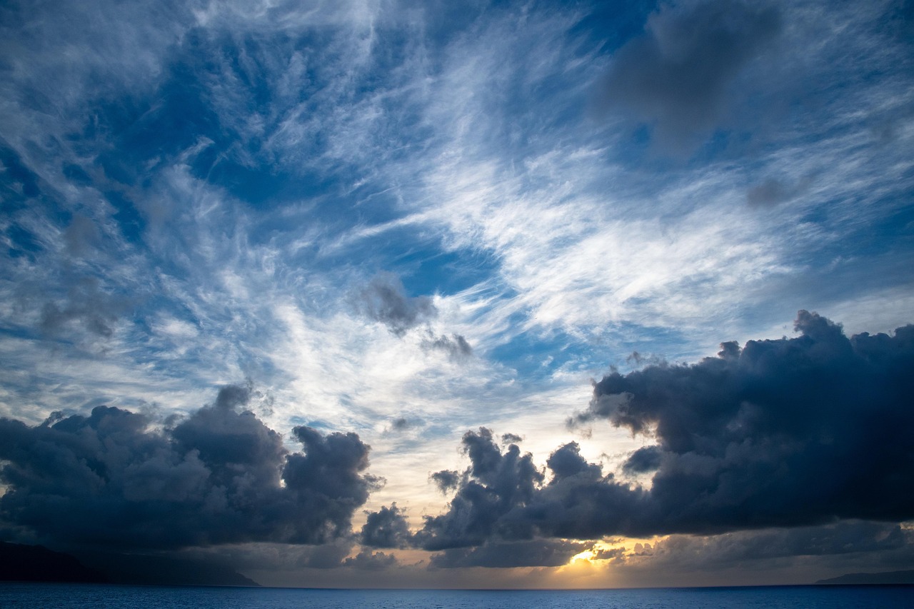 “職場逐利非交友”——三年歷練，我收起逢人示好之態