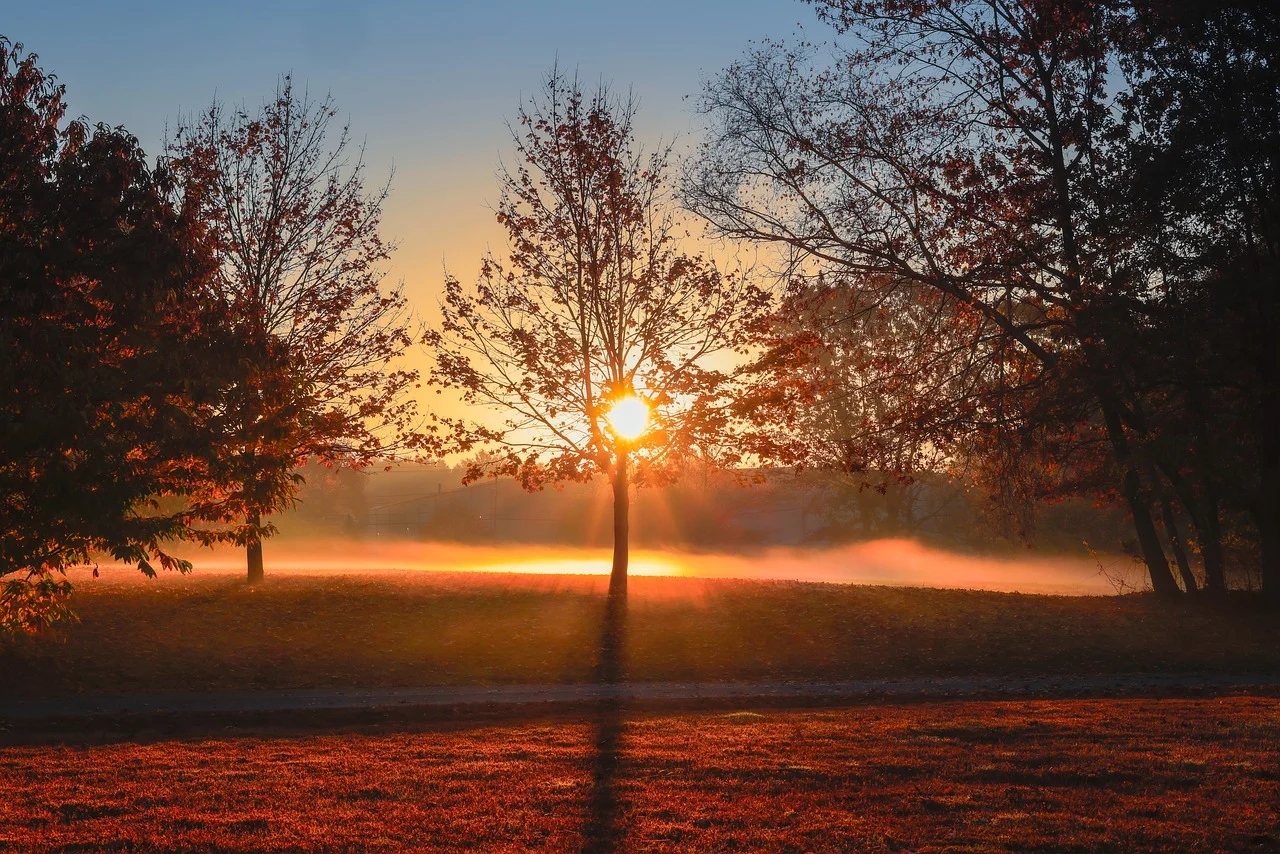 警惕這3類人，他們極可能背后捅你刀子，快看看身邊有沒有