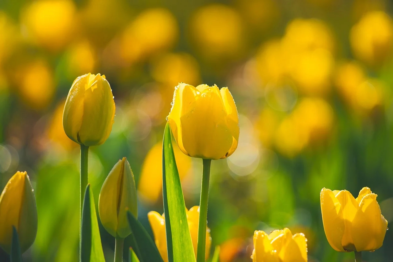 與同事相處，務(wù)必掌握「淺交」之道