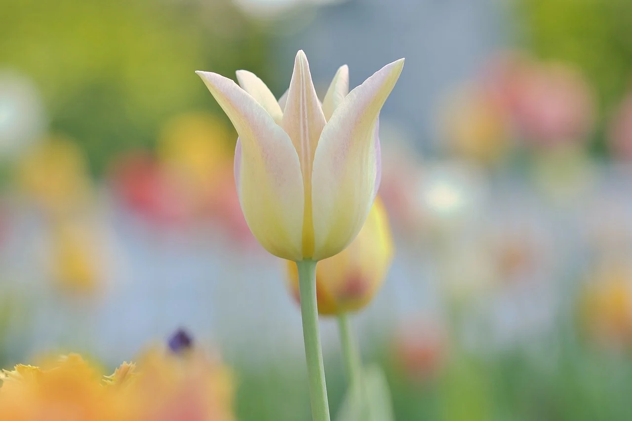 覓得良人，互為生命中的光芒