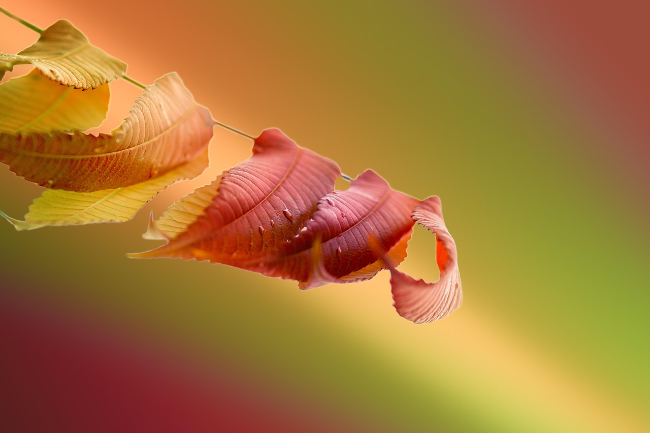 焦慮時(shí)，不妨以孩童之姿求學(xué)進(jìn)取