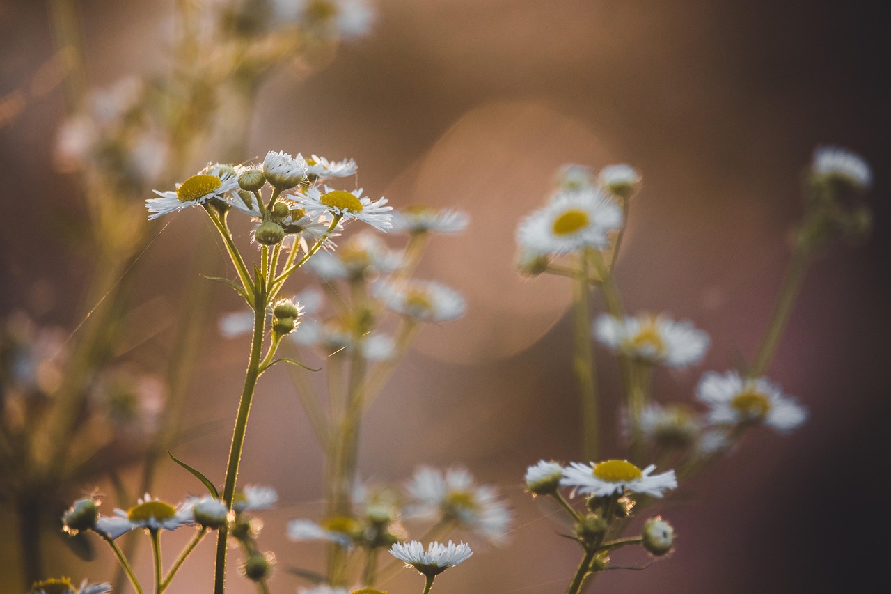 昔日篤定一生摯友，終在時光中走散